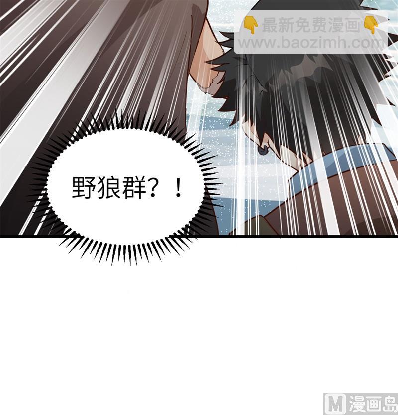 114 再见狼群46