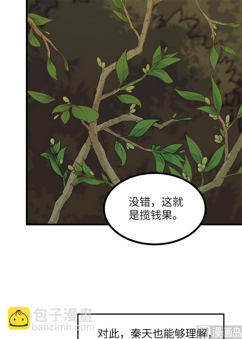 152 奇异红树林14