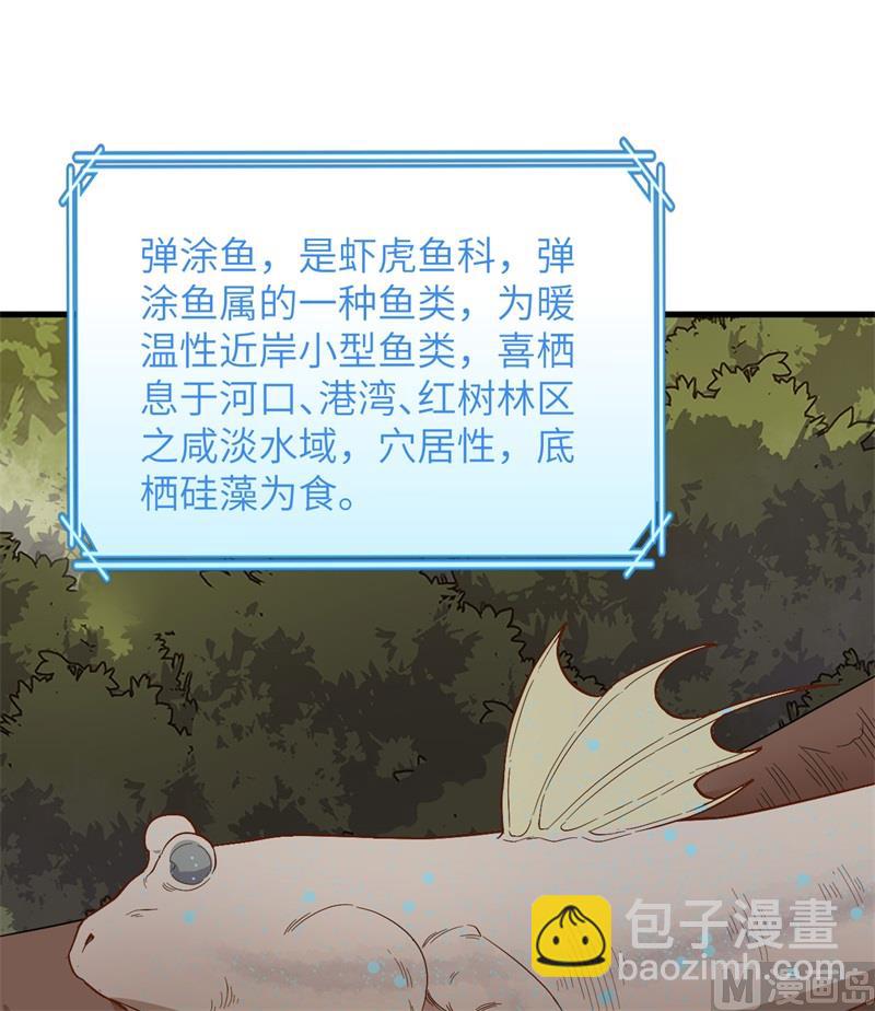 152 奇异红树林48