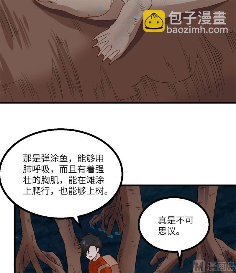 152 奇异红树林49