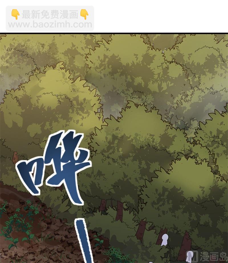 154 辣蓼草20