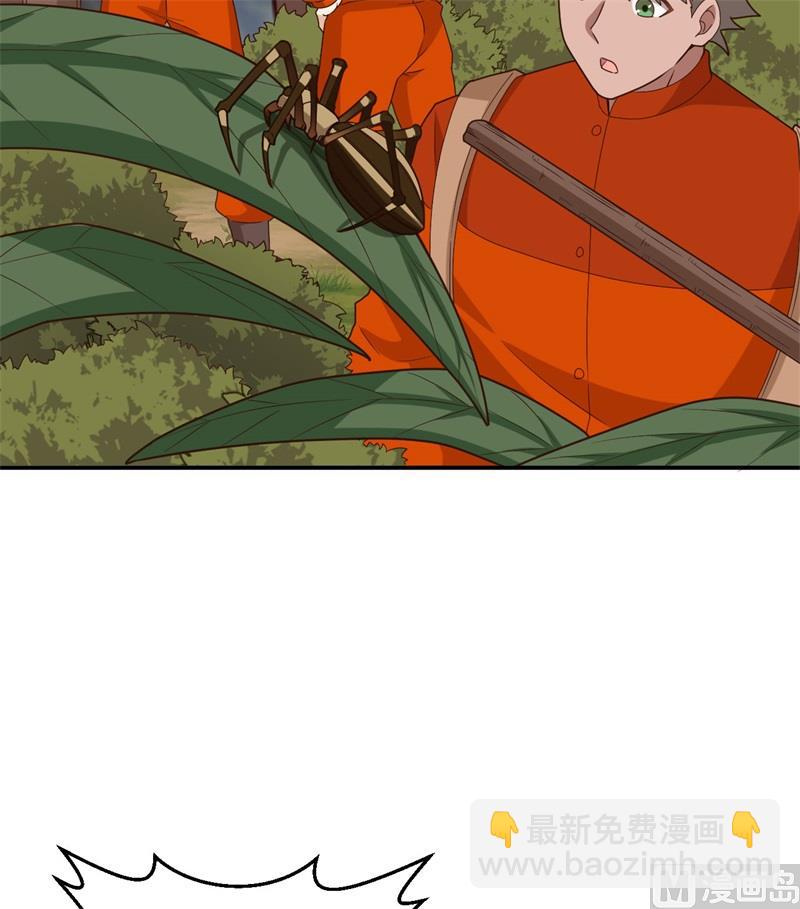 159 能吃的树37