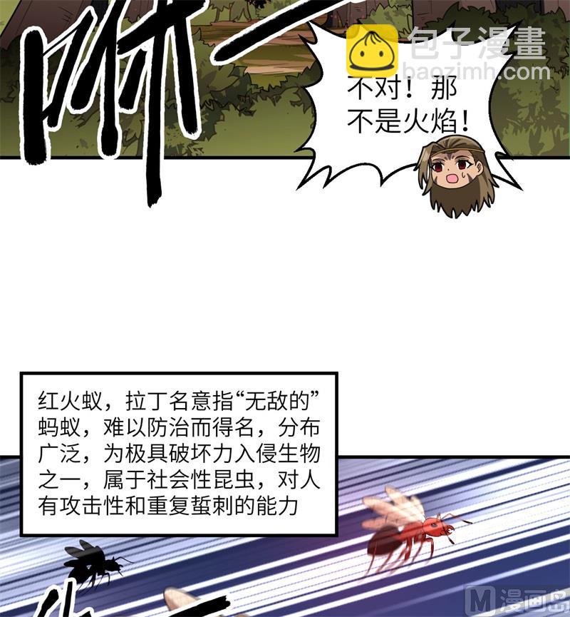 166 飞舞的火焰23
