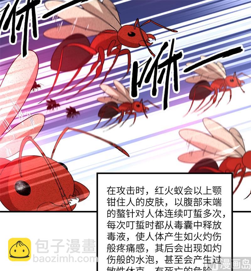 166 飞舞的火焰24