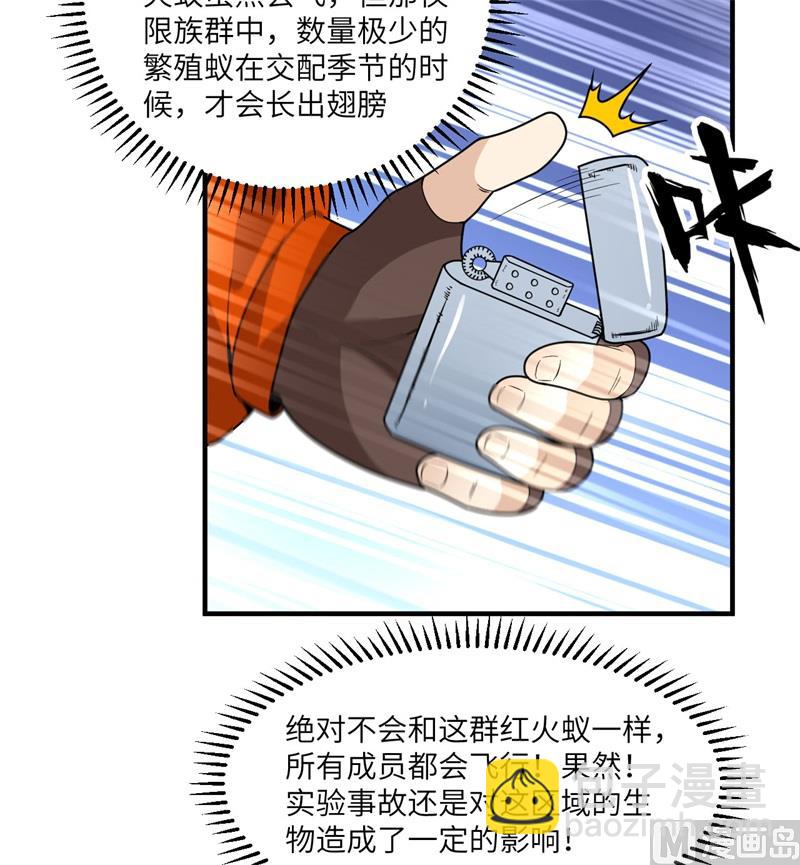 166 飞舞的火焰31