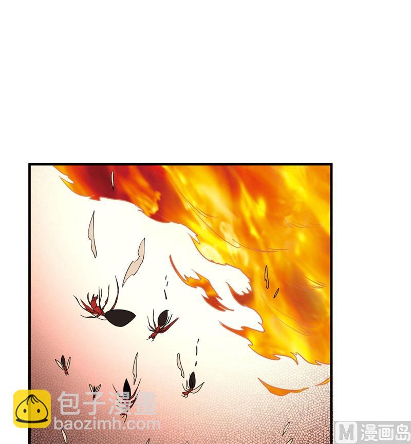 166 飞舞的火焰41