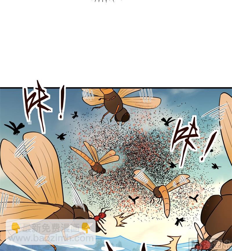 167 祸福相依26