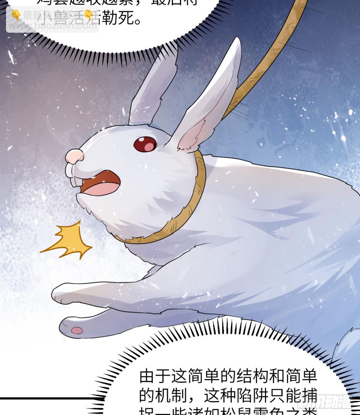 228 极昼34
