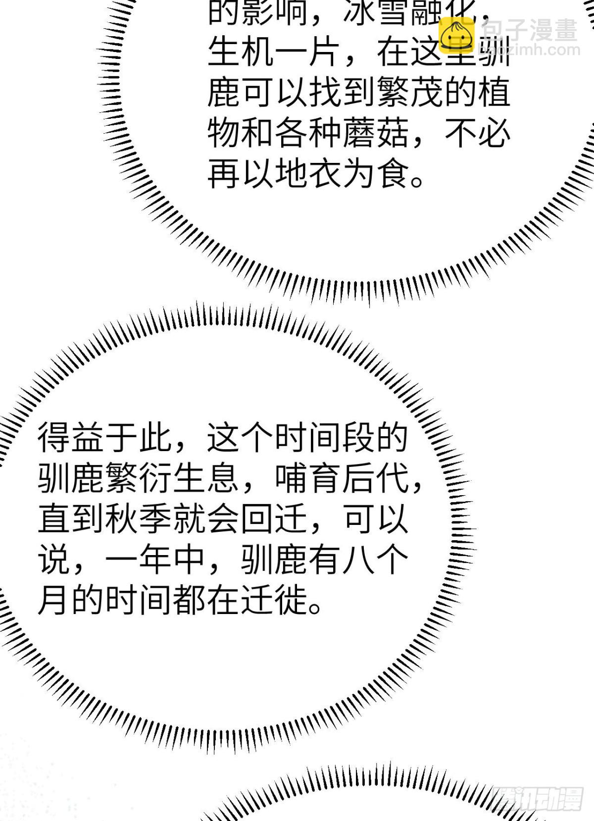 229 驯鹿踪迹88