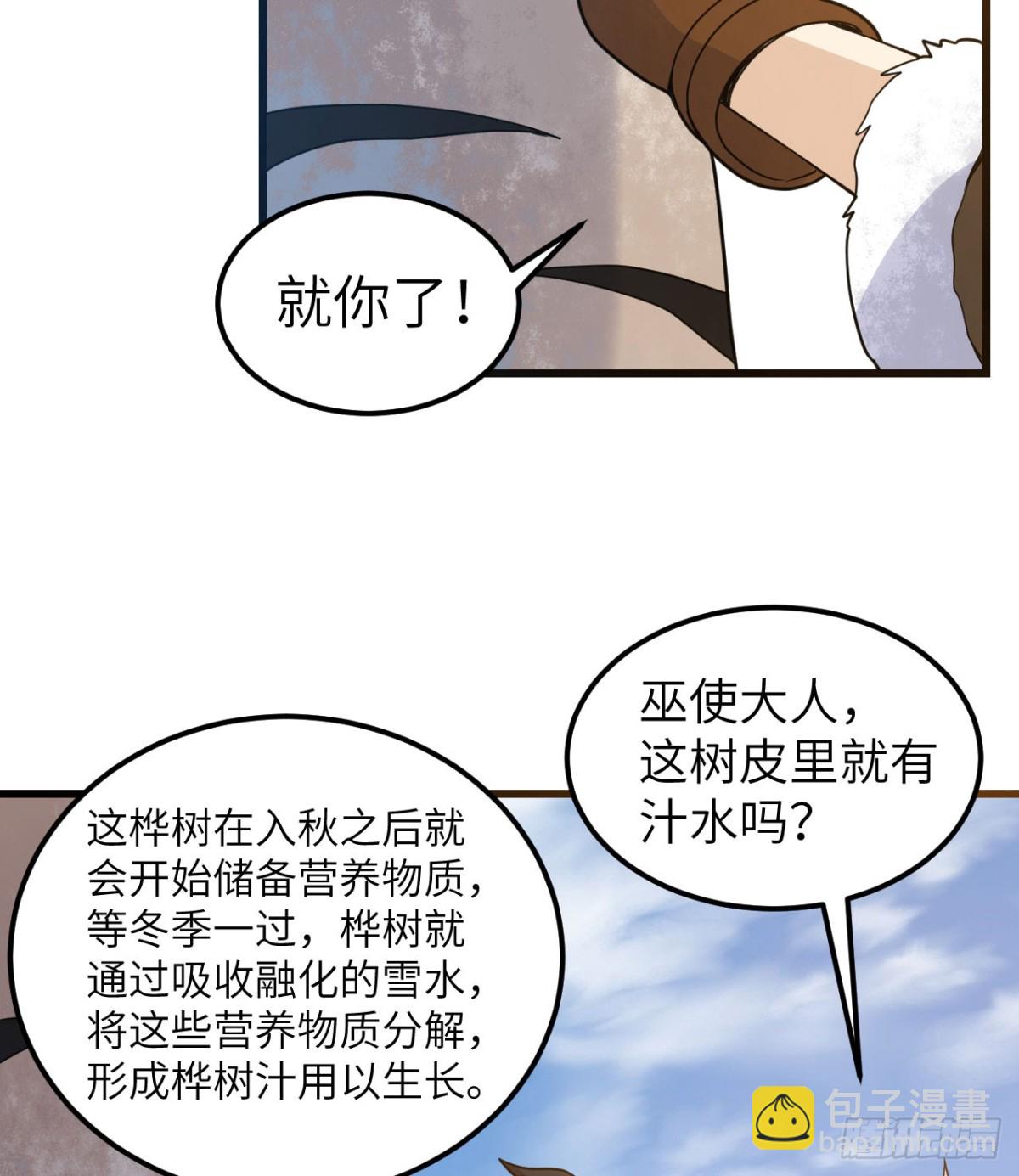 241 桦树汁12