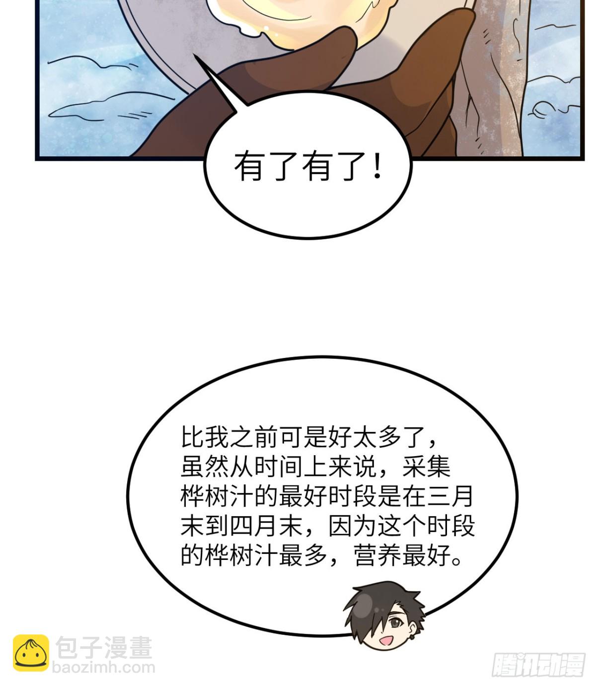 241 桦树汁17