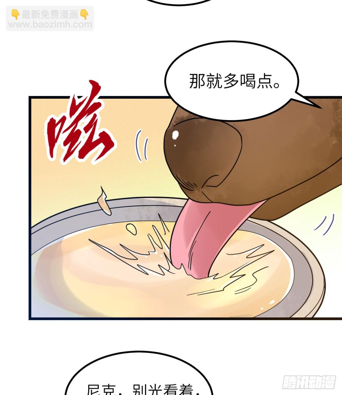241 桦树汁22