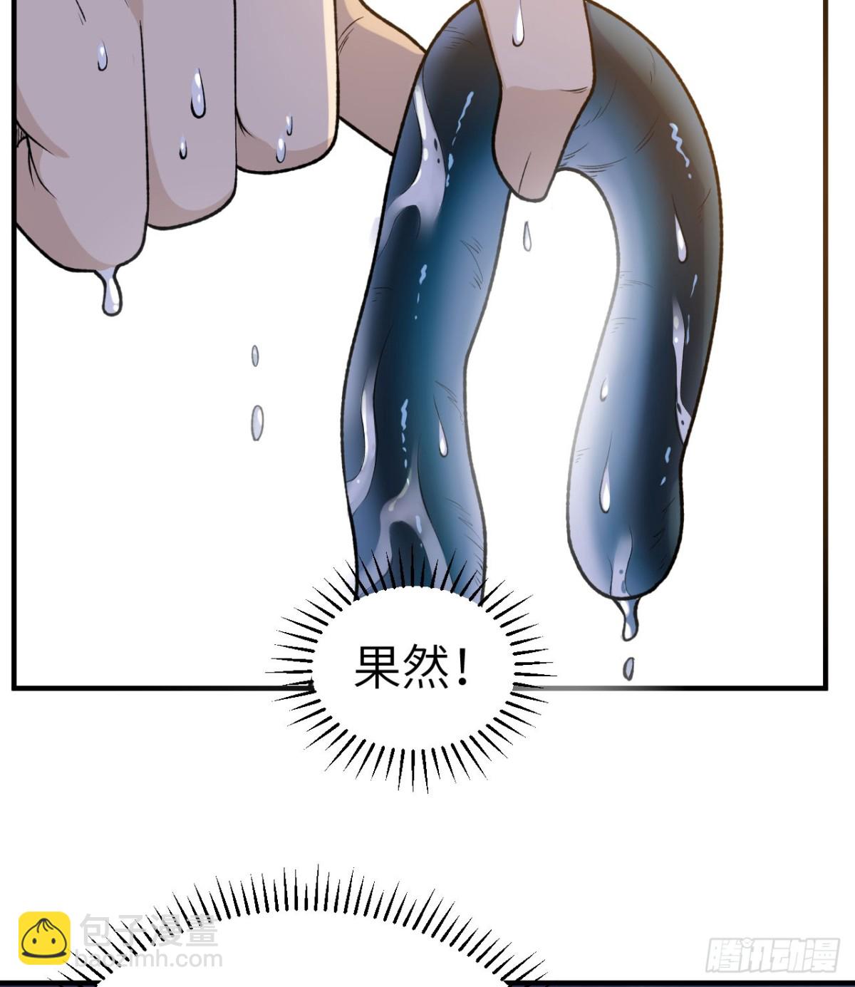 261 坏血病12