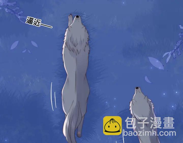 第136话 夜小狼出现59