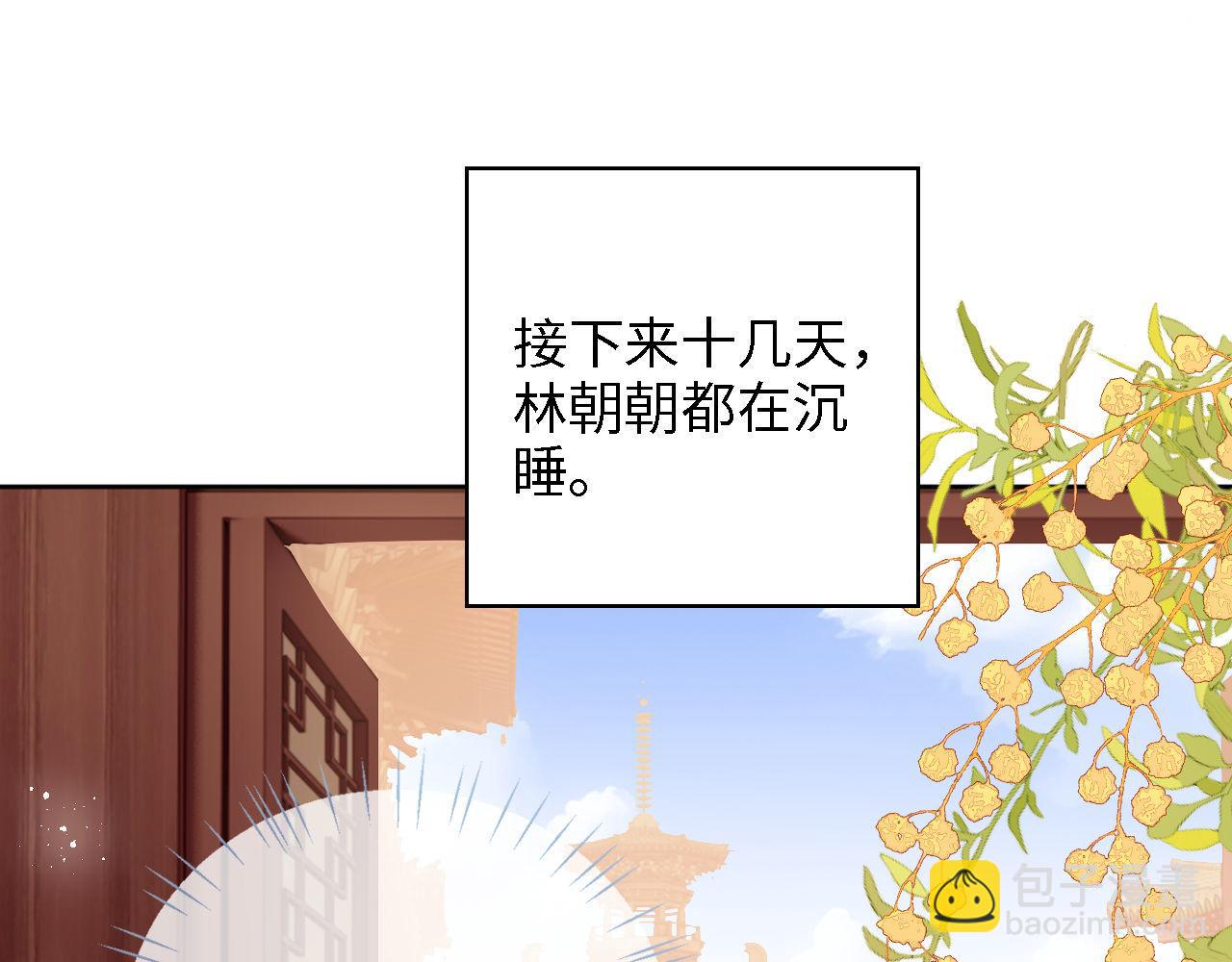 第17话 朝朝的过去3