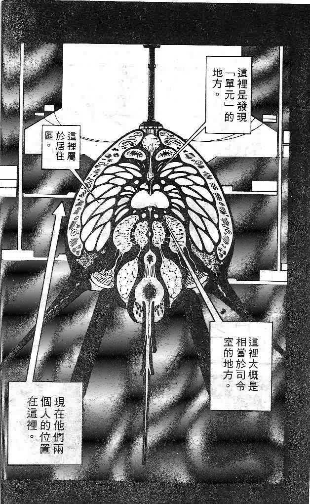 第7卷16