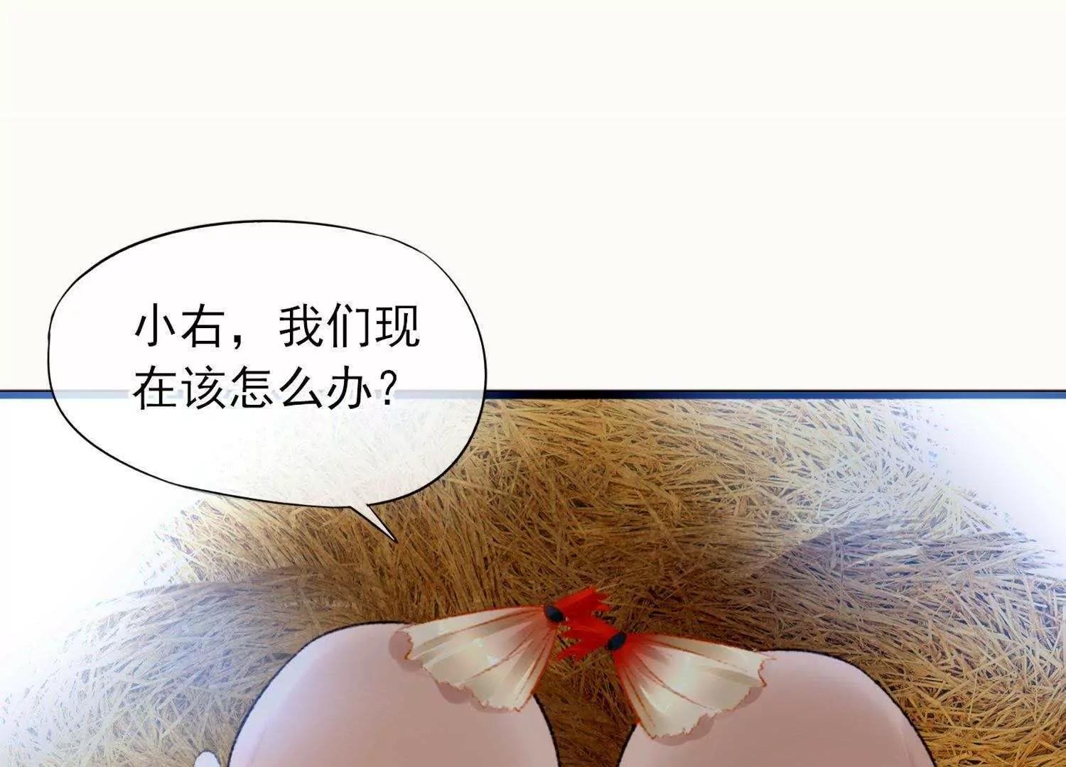 第5话  回施以小计端贼窝56