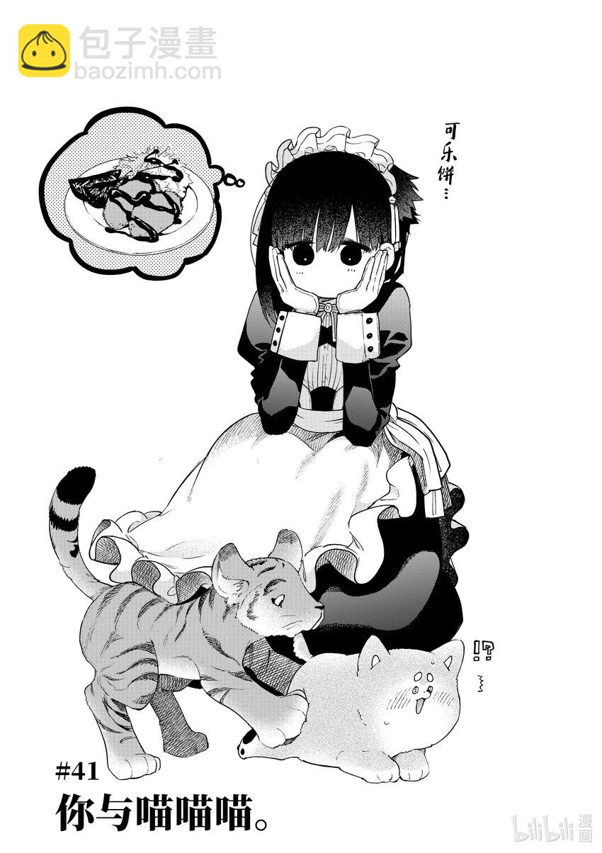 41 你与喵喵喵。4
