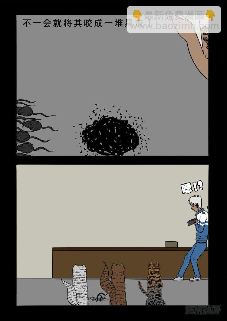 阴老爷 2011