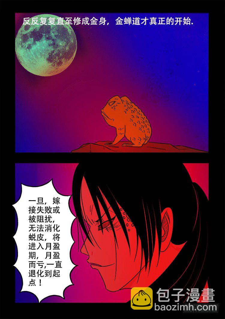 阴老爷 246