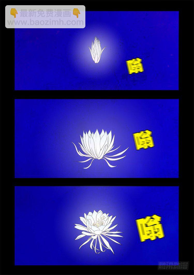 黑白红跳紫 127
