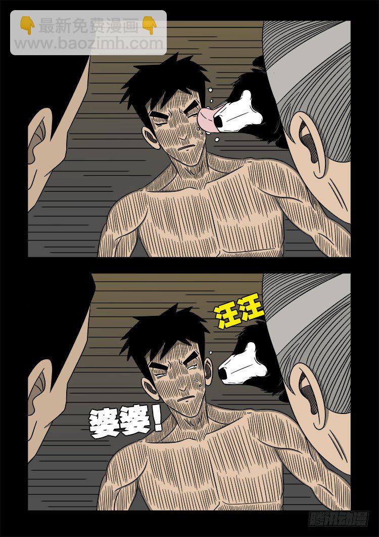 黑白红跳紫 1412