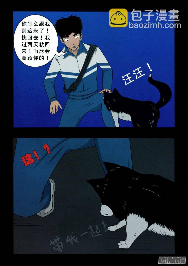 鹦鹉大厦 012