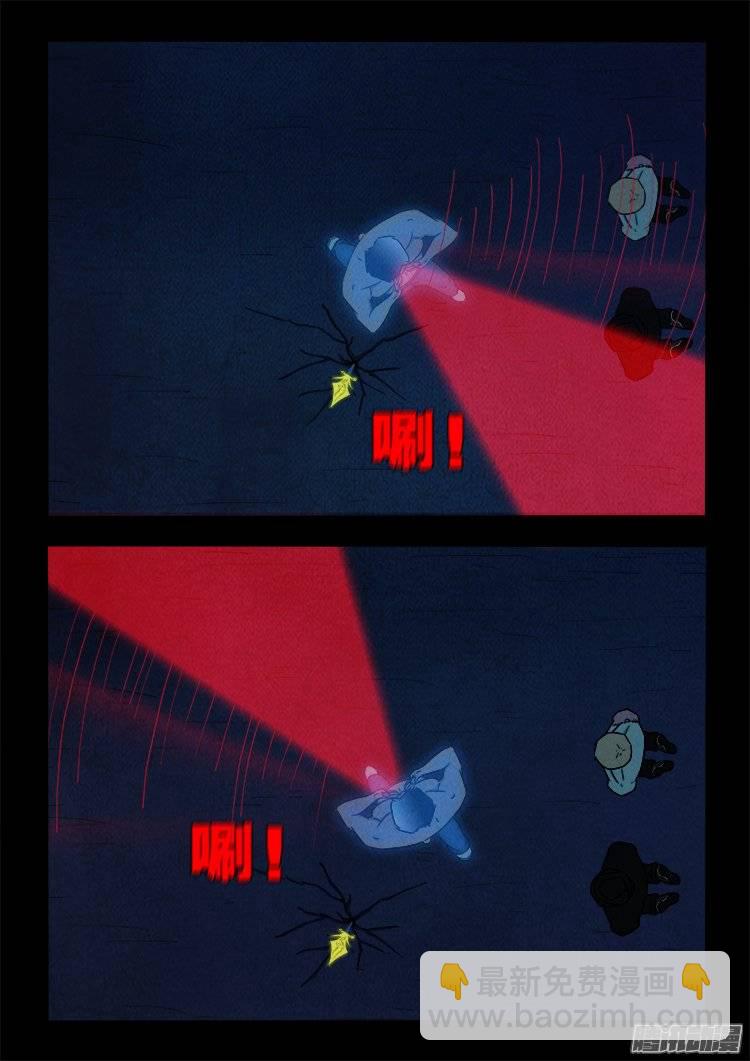 鹦鹉大厦 2316