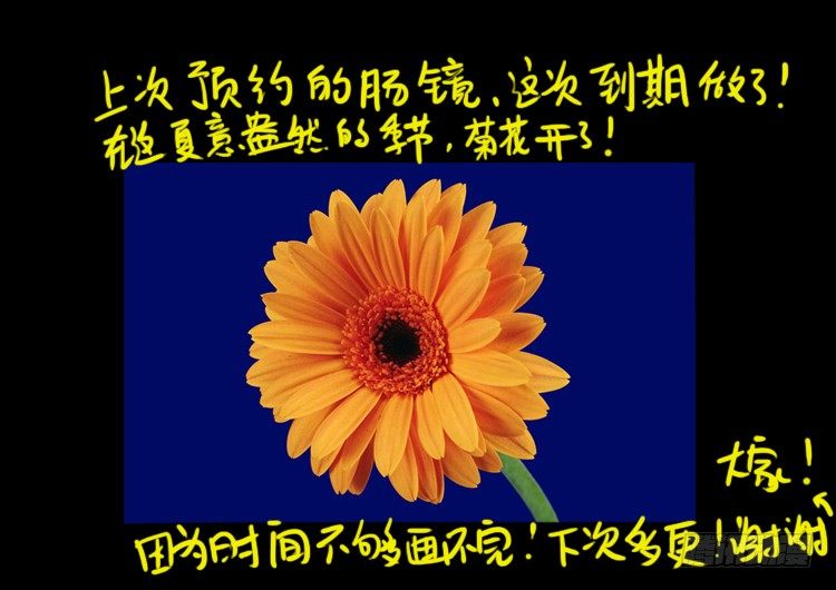 公告0