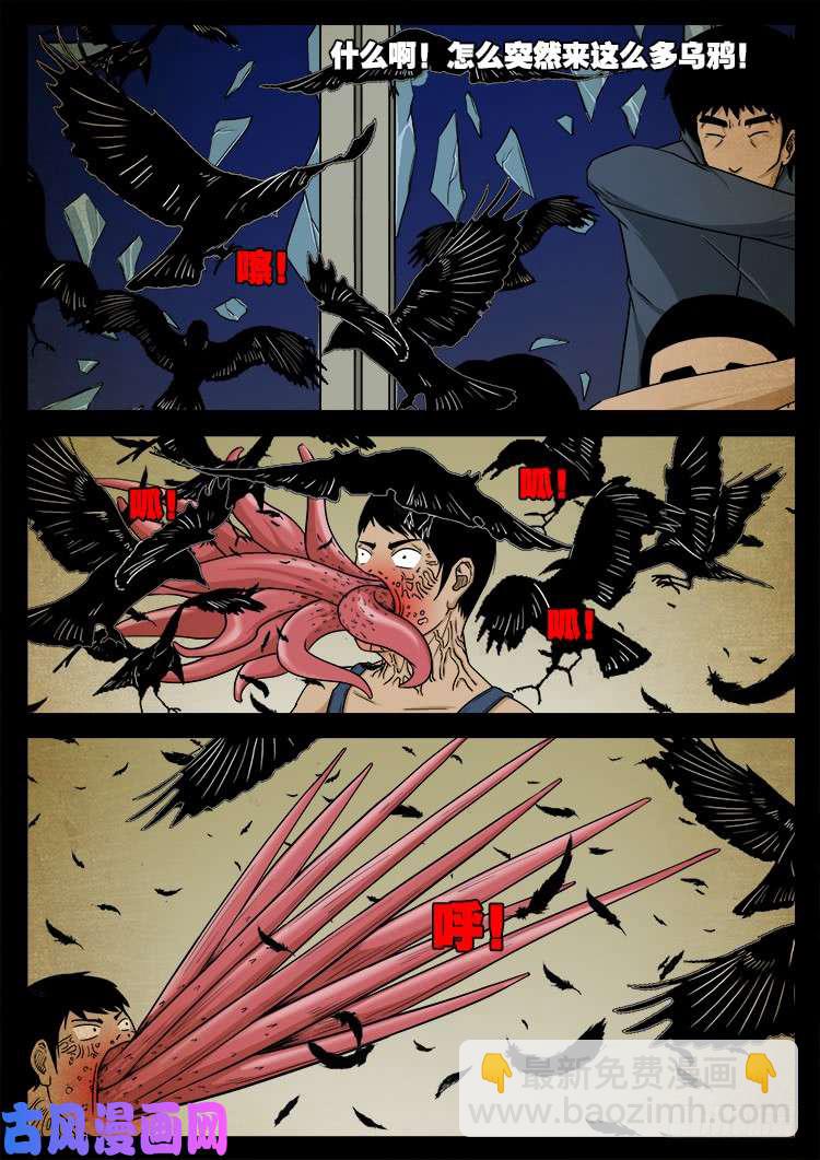 螺生宝卷 0216
