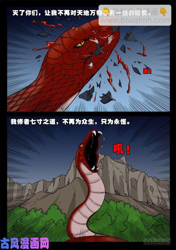 小七寸 0213