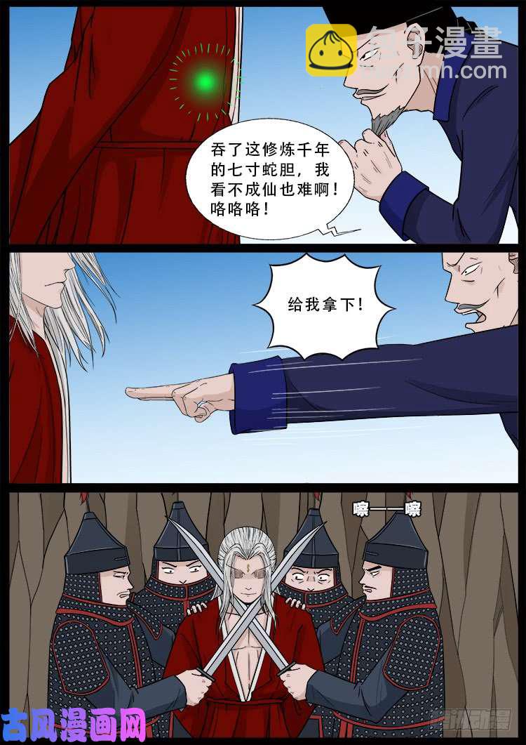 小七寸 028