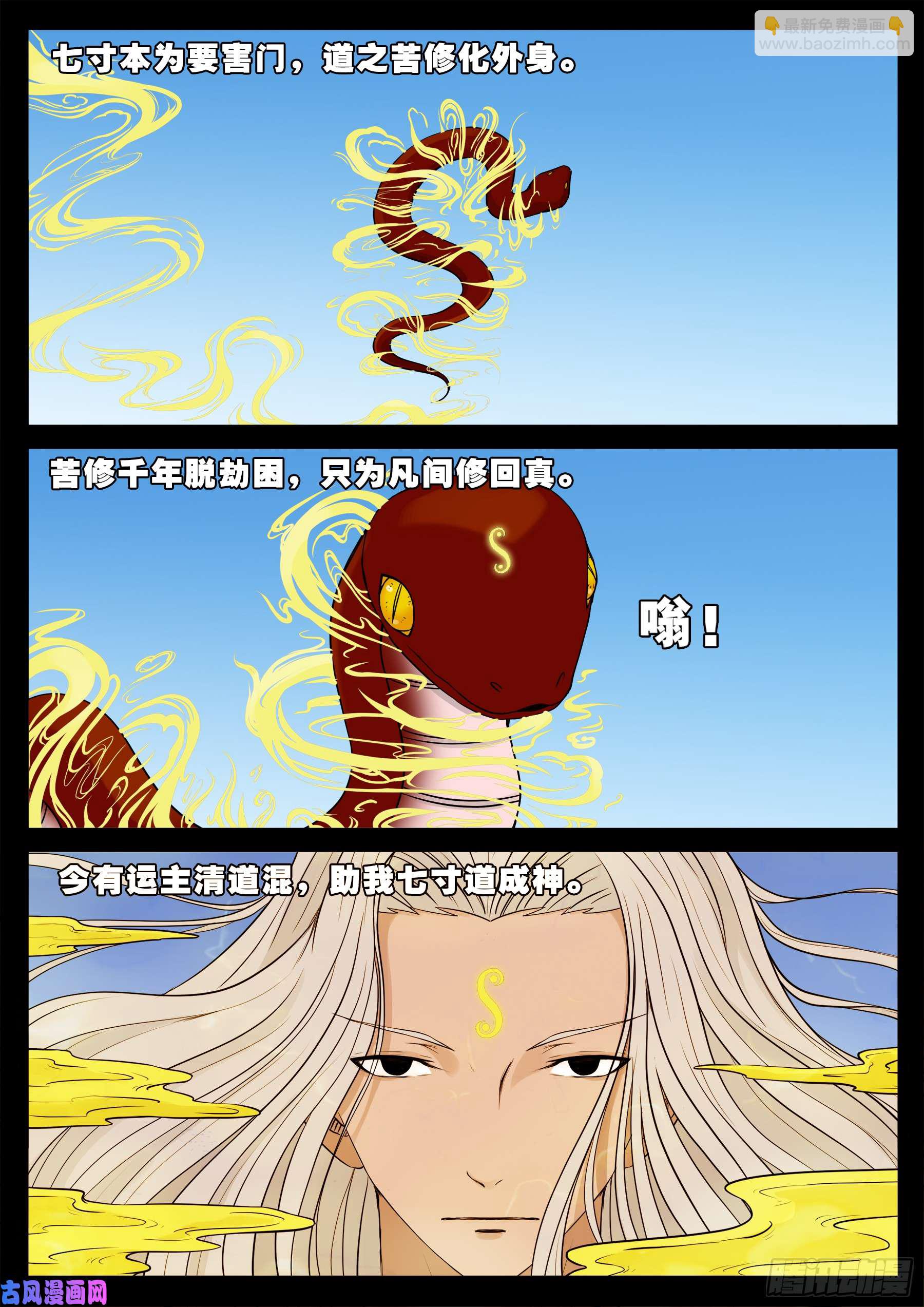 小七寸 0317
