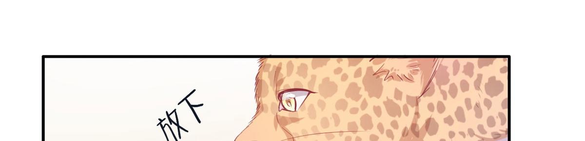 4025