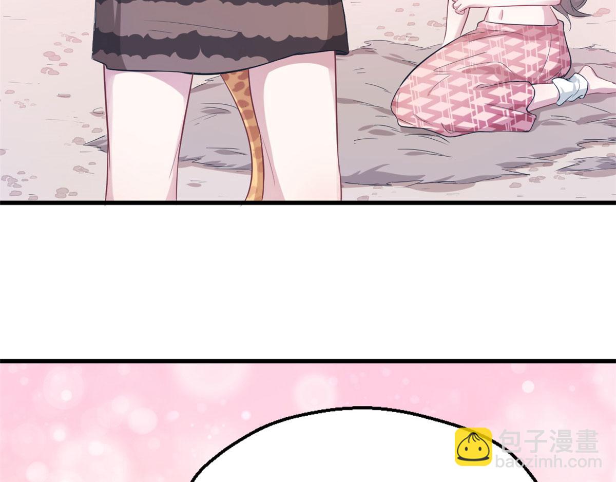 4262