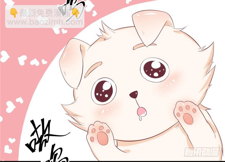 7047