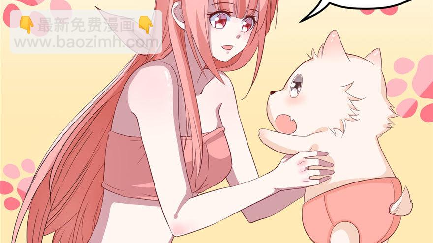 7064