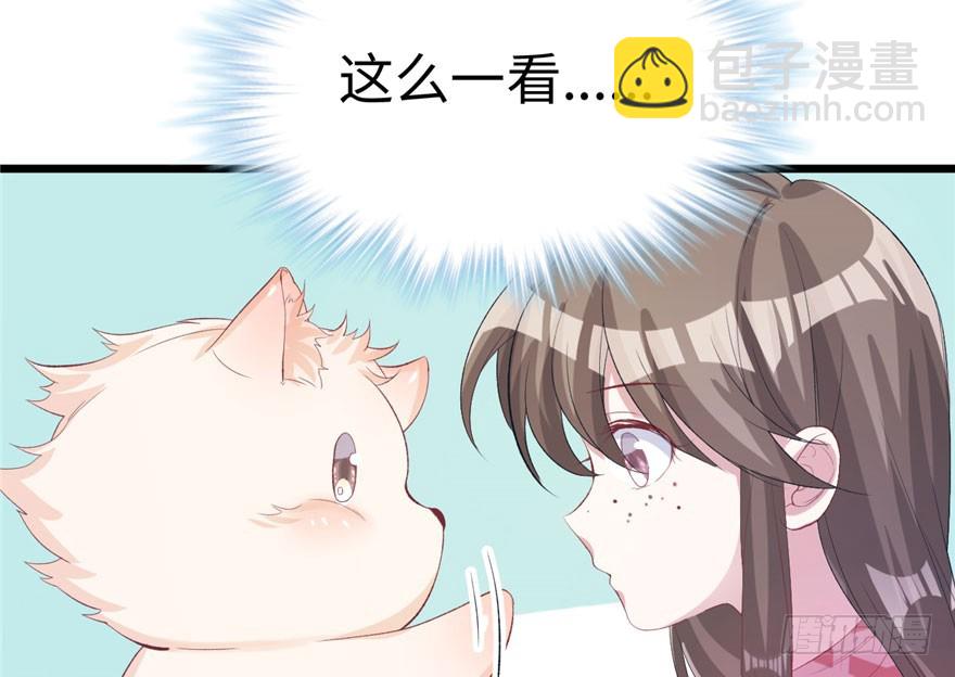 7116