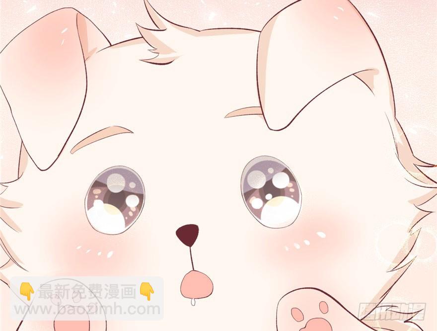 7118