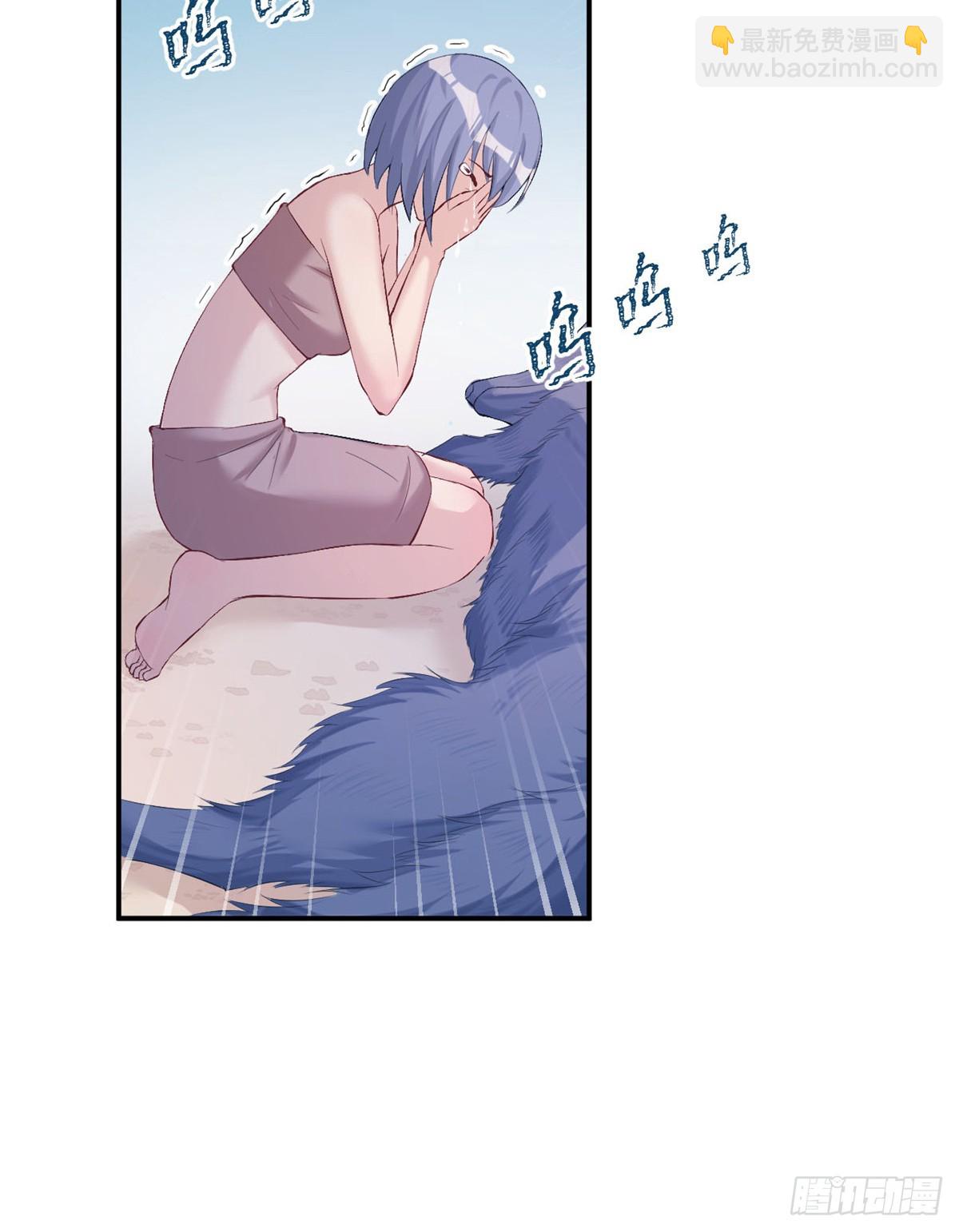 16036
