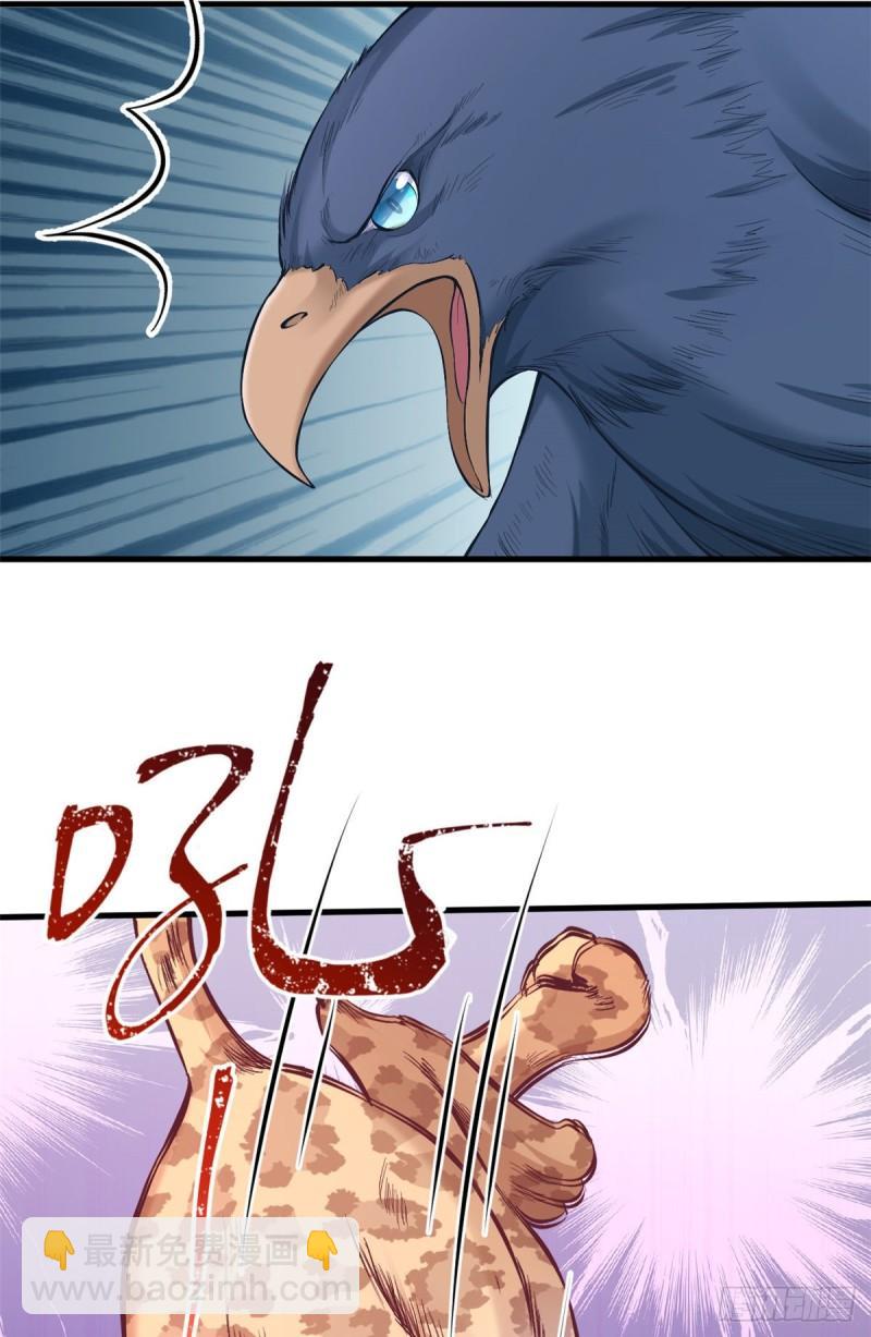 20543