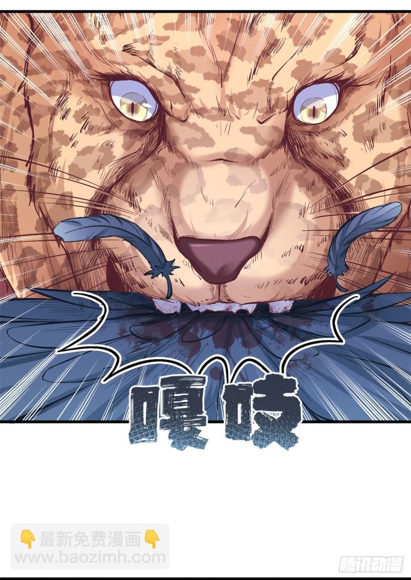 20546