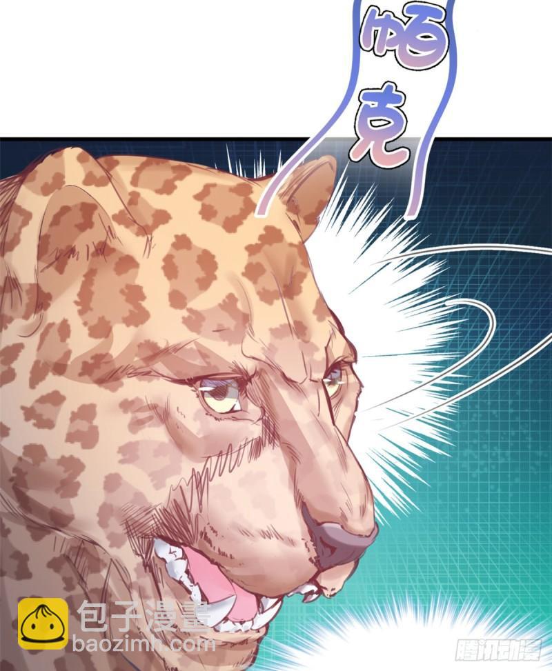 21617