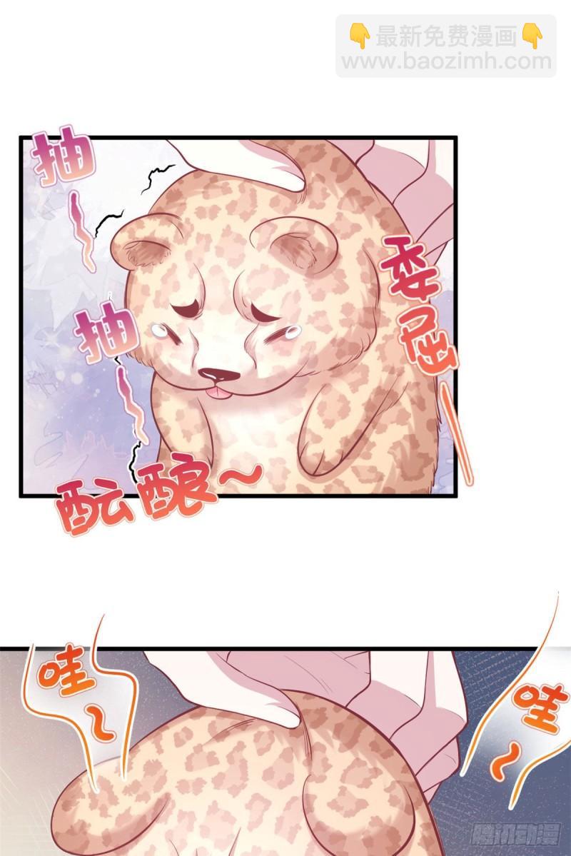 23533