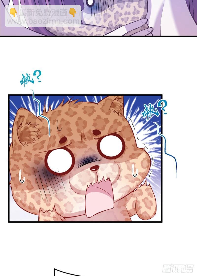 23617