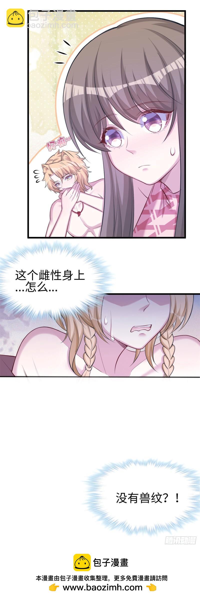 24041