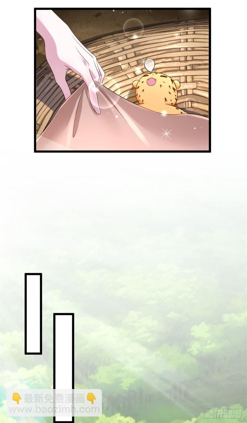 25033