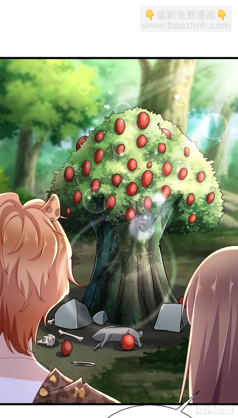 25041