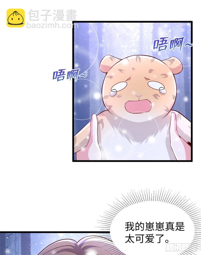 26033