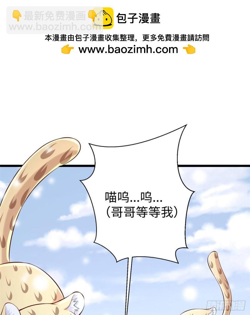 2611